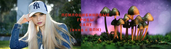 прущие крисы Алексин
